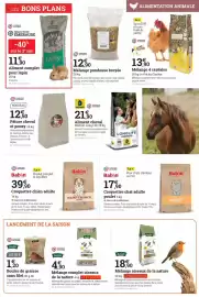 Catalogue Espace emeraude page 15
