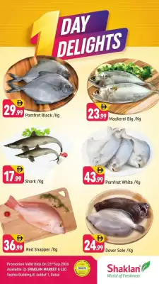 Shaklan (valid until 23-09)