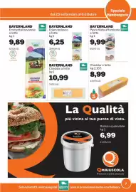 Volantino GrosMarket Pagina 7: Cheddar a fette €8,99, Bayernland Edam tedesco €6,25