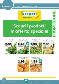 Volantino GrosMarket Pagina 10: Piselli Finissimi €2,99, Carciofi Cuore Interi TantoCuore €7,99