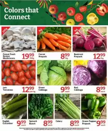 Oxford Freshmarket catalogue Page 1: Carrot Prepack €8,99, Green Cabbage €9,99