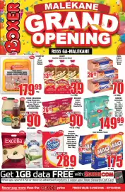 Boxer catalogue Page 1: Golden ray - frozen chicken mixed portions with brine-based mixture €179,99
