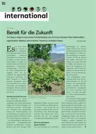 Lagerhaus Flugblatt Seite 16