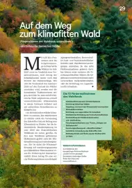 Lagerhaus Flugblatt Seite 29