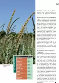 Lagerhaus Flugblatt Seite 59