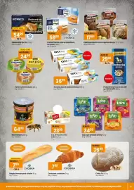 TEMPO leták | Supermarket Strana 5: Frosta Fillet De Luxe se špenátem, se sýrem €59,99