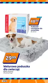 Action gazetka tydzień 39 Strona 14: Welurowa poduszka dla zwierząt €29,99