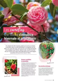 Catalogue VillaVerde page 21