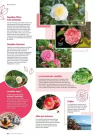 Catalogue VillaVerde page 22