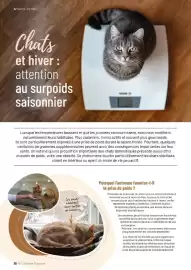 Catalogue VillaVerde page 36