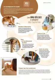 Catalogue VillaVerde page 37