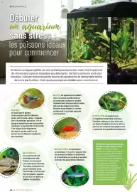 Catalogue VillaVerde page 44