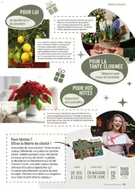 Catalogue VillaVerde page 61