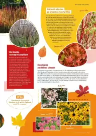 Catalogue VillaVerde page 7