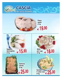 Volantino Centro Oceano Pagina 3: Salmone panato €25,00, Seppia decongelata €15,90