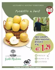 Volantino Centro Oceano Pagina 4: Mele Golden Grilli Malvina €1,29