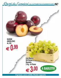 Volantino Centro Oceano Pagina 5: Prezzi da Campioni DAL 23 SETTEMBRE FINO AD ESAURIMENTO SCORTE SUSINE ANGELENO AL KG €0,99