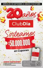 Folleto Supermercados DIA semana 39 Página 17