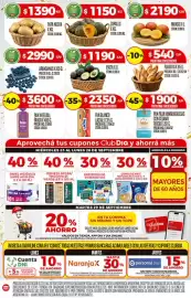 Folleto Supermercados DIA semana 39 Página 8: Palta €1.190,00, Lactal pan blanco €2.350,00