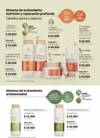 Catálogo Natura Página 162: Natura luminoso acondicionador €34.900,00, Natura luminia shampoo equilibrante €42.900,00