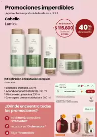 Catálogo Natura Página 29: Cabello Lumina Kit Definición e hidratación completo €115.600,00