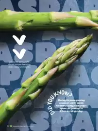 Woolworths catalogue Page 80