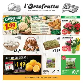Volantino èccoMI Pagina 9: Calla colorata €5,99, Begonia €4,99