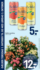 REMA 1000 tilbudsavis uge 40 Side 28: Belillo sparkling €5,00, Kalanchoe €12,00