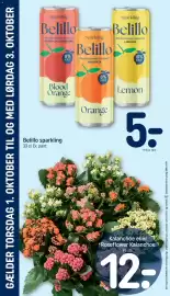 REMA 1000 tilbudsavis uge 40 Side 28: Belillo sparkling €5,00, Kalanchoe €12,00