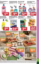Stokrotka gazetka tydzień 39 Strona 35: Karma dla kota Home Animal €3,49, Kapsułki, tabletki do zmywarek Finish €34,97