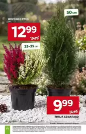 Stokrotka gazetka tydzień 39 Strona 41