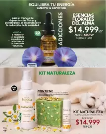 Catálogo Dolce Catálogos Página 46