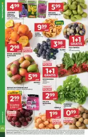 Stokrotka Market gazetka tydzień 39 Strona 10: Śliwki €3,98, Dynia jadalna Hokkaido €2,98