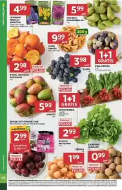 Stokrotka Market gazetka tydzień 39 Strona 10: Śliwki €3,98, Dynia jadalna Hokkaido €2,98