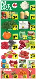 Food Basics flyer week 39 Page 3: Life Smart tofu €1,99, Harvest Fresh spinach epinards €3,99