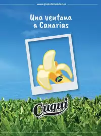 Catálogo Costco Página 147