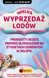 Biedronka gazetka tydzień 39 Strona 1