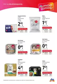 Dm Flugblatt Seite 11