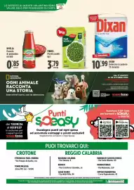 Volantino Rossotono Carrefour Pagina 32: Piselli novelli Findus €3,79, Dixan classico €10,99