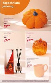 Rossmann gazetka tydzień 39 Strona 8: Eloy, kubek porcelanowy z reliefem, Dynia, poj €15,99