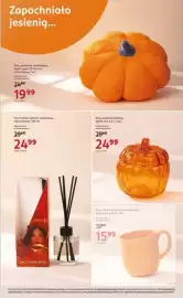 Rossmann gazetka tydzień 39 Strona 8: Eloy, kubek porcelanowy z reliefem, Dynia, poj €15,99