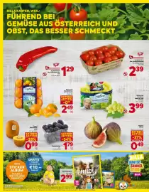 Billa Flugblatt woche 39 Seite 4