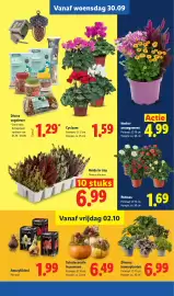 Lidl folder week 40 Pagina 22