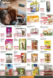 Globus Prospekt woche 40 Seite 20