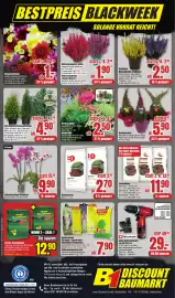 B1 Discount Baumarkt Prospekt Seite 8