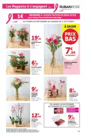 Catalogue Hyper U page 25: COMPOSITION CYMBIDIUM €8,99, LE BOUQUET BOUQUET COMPOSE ESPOIR €9,99