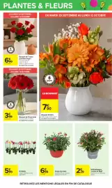 Catalogue Carrefour page 81
