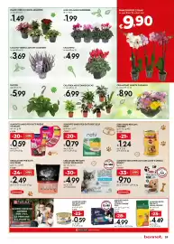 Volantino Bennet Pagina 29: Alimento umido per gatti Poésie Vitakraft €0,59, Calluna varietà autumn lavender €3,69