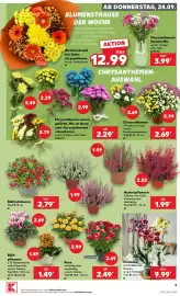 Kaufland Prospekt woche 39 Seite 9