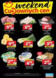 Delfin gazetka Strona 1